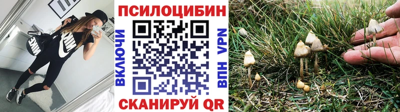 мега ссылка  нарко площадка наркотические препараты  Северобайкальск  Галлюциногенные грибы мицелий  где найти  